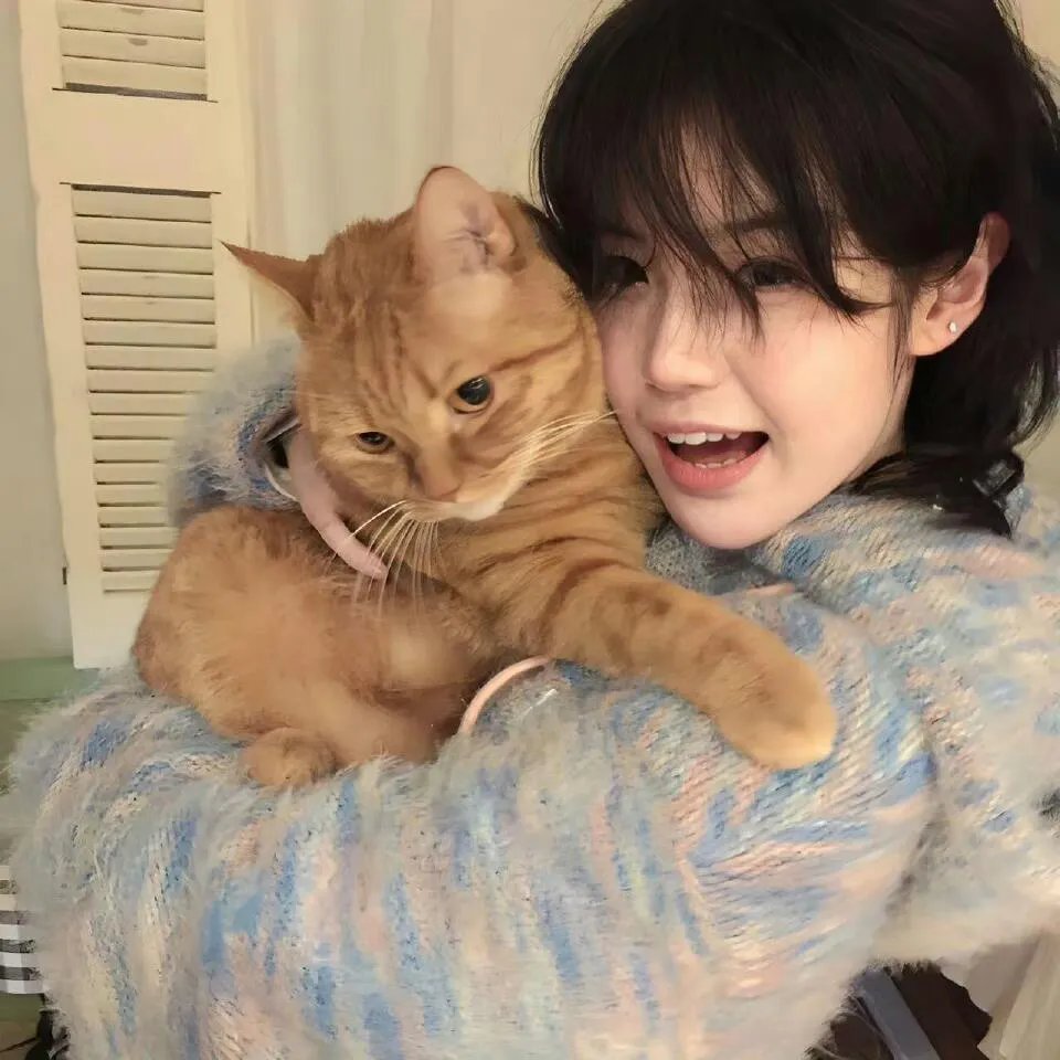 蜡笔小新：我的搬家物语 仙人掌大袭击